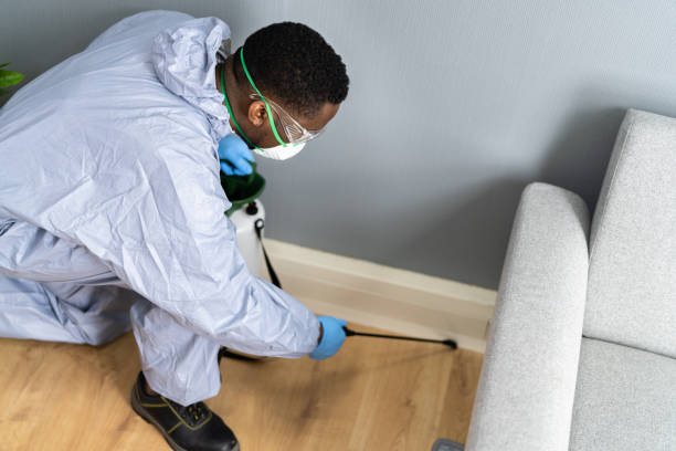 Best Residential Pest Control  in Millersburg, OR